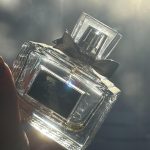 عطر ادکلن میس دیور له پارفوم دیور - Miss Dior Le Parfum Dior - بررسی، قیمت و خرید