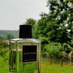 عطر ادکلن اسنس نامبر سیکس وتیور الی ساب - Essence No. 6 Vetiver Elie Saab - بررسی، قیمت و خرید