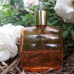 عطر ادکلن برازیل دریم استی لودر - Brasil Dream Estée Lauder - بررسی، قیمت و خرید