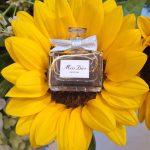 عطر ادکلن میس دیور پارفوم دیور - Miss Dior Parfum (2024) Dior - بررسی، قیمت و خرید