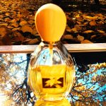 عطر ادکلن فرنچ وانیلا دانـا - French Vanilla Dana - بررسی، قیمت و خرید