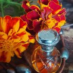 عطر ادکلن دمی‌ژور هوبیگانت - Demi-Jour Houbigant - بررسی، قیمت و خرید