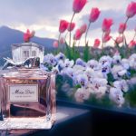 عطر ادکلن میس دیور او دو توالت ۲۰۱۹ دیور - Miss Dior Eau de Toilette 2019 Dior - بررسی، قیمت و خرید