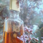 عطر ادکلن رد جورجیو بورلی هیلز - Red Giorgio Beverly Hills - بررسی، قیمت و خرید