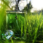 عطر ادکلن رِیدیِنت بِرگاموت فراری - Radiant Bergamot Ferrari - بررسی، قیمت و خرید