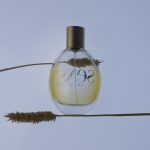عطر ادکلن سنسی جیورجیو آرمانی - Sensi Giorgio Armani - بررسی، قیمت و خرید
