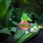 عطر ادکلن گرند فولیه گریس - Grain de Folie Grès - بررسی، قیمت و خرید