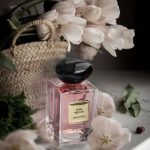عطر ادکلن رز میلانو جورجیو آرمانی - Rose Milano Giorgio Armani - بررسی، قیمت و خرید