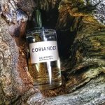 عطر ادکلن گشنیز دی‌اس اند دورگا - Coriander DS&Durga - بررسی، قیمت و خرید