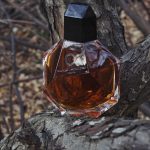 عطر ادکلن پیج ۲۹ فرانچسکا دل اورو - Page 29 Francesca dell'Oro - بررسی، قیمت و خرید