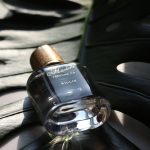 عطر ادکلن بیلی هارلم پرفیوم کو - Billie Harlem Perfume Co. - بررسی، قیمت و خرید