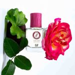 عطر ادکلن رز دِزیر - داماس فیلیت - Rose Désir - Damas Fiilit - بررسی، قیمت و خرید