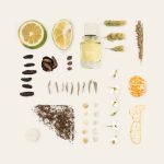 عطر ادکلن سانتا مونیکا فوگازی - Santa Monica Fugazzi - بررسی، قیمت و خرید