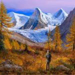 عطر ادکلن جاسپر نو کدو فولک ویندز - Jasper No Kodō Folkwinds - بررسی، قیمت و خرید