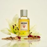 عطر ادکلن تایپ تو: رد کرنت اند بالسام گس - Type 2: Red Currant & Balsam Guess - بررسی، قیمت و خرید