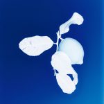 عطر ادکلن گنت گنت - Gant (2023) Gant - بررسی، قیمت و خرید