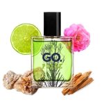 عطر ادکلن گو پالس گو - GO. Pulse GO. - بررسی، قیمت و خرید