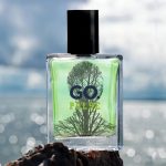 عطر ادکلن گو پالس گو - GO. Pulse GO. - بررسی، قیمت و خرید