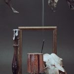 عطر ادکلن د بوک آو ویزدم - الیکسیر فتال ادی اله وان - The book of wisdom - Elixir fatal Adi Ale Van - بررسی، قیمت و خرید