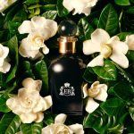 عطر ادکلن اود گاردنیا اریک بوتربو فلورالز - Oud Gardenia Eric Buterbaugh Florals - بررسی، قیمت و خرید