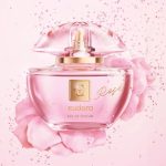 عطر ادکلن یودورا رز یودورا - Eudora Rosé Eudora - بررسی، قیمت و خرید