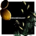 عطر ادکلن دزوبیسون ژیوانشی - Désobéissant Givenchy - بررسی، قیمت و خرید