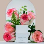 عطر ادکلن دو فِروِن‌وِه - Dew Fernweh - بررسی، قیمت و خرید