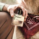 عطر ادکلن پالمر گای فاکس - Palmer GUY FOX - بررسی، قیمت و خرید