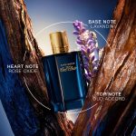 عطر ادکلن کول الکسیر داویدف - Cool Elixir Davidoff - بررسی، قیمت و خرید