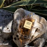 عطر ادکلن وانیلا بیسکوییت گرند تور - Vanilla Biscuit Grand Tour - بررسی، قیمت و خرید
