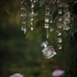 عطر ادکلن ژاردن میستیک فریدِمودین - Jardin Mystique Friedemodin - بررسی، قیمت و خرید