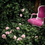 عطر ادکلن ژاردن میستیک فریدِمودین - Jardin Mystique Friedemodin - بررسی، قیمت و خرید