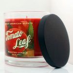 عطر ادکلن توماٹو لیف گرت آمریکن سنتس - Tomato Leaf Great American Scents - بررسی، قیمت و خرید
