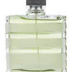عطر ادکلن وتیور اسپرت گرلن - Vetiver Sport Guerlain - بررسی، قیمت و خرید