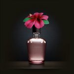 عطر ادکلن سیدی هالیستر - Sadie Hollister - بررسی، قیمت و خرید