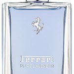 عطر ادکلن پیور لاوندر فراری - Pure Lavender Ferrari - بررسی، قیمت و خرید