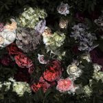 عطر ادکلن هاسونوئیتو دی سر - Hasunoito DI SER - بررسی، قیمت و خرید
