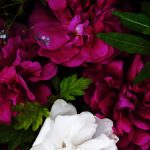 عطر ادکلن کوراکامی دیسر - Kurokami DI SER - بررسی، قیمت و خرید