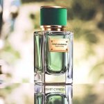 عطر ادکلن ولوت سایپرس دولچه گابانا - Velvet Cypress Dolce&Gabbana - بررسی، قیمت و خرید