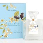 عطر ادکلن اورنج بلوسم دی پالمو - Orange Blossom Di Palomo - بررسی، قیمت و خرید