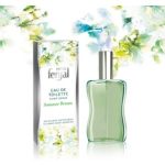 عطر ادکلن میس فنجال سامر دریم فنژال - Miss Fenjal Summer Dream Fenjal - بررسی، قیمت و خرید