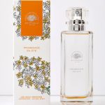 عطر ادکلن پرامناد ان ایته اد پینود - Promenade en Ete Ed Pinaud - بررسی، قیمت و خرید