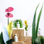 عطر ادکلن اُ دو هَدرییَن اُ سان آلاکُل گوتال - Eau d'Hadrien Eau sans Alcool Goutal - بررسی، قیمت و خرید