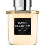 عطر ادکلن فالو یور اینستینکت دیوید بکهام - Follow Your Instinct David Beckham - بررسی، قیمت و خرید