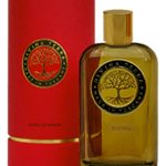عطر ادکلن دیویِنا زیرو وان دیویینا ترا - 01 Divina DiVina Terra - بررسی، قیمت و خرید