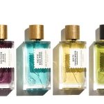 عطر ادکلن ولوت اسپلندور گلدفیلد اند بنکس استرالیا - Velvet Splendour Goldfield & Banks Australia - بررسی، قیمت و خرید