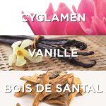 عطر ادکلن پُزِشِن او ژون - Possesion Eau Jeune - بررسی، قیمت و خرید