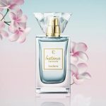 عطر ادکلن اینسِنس هارمونیا یودورا - Instance Harmonia Eudora - بررسی، قیمت و خرید