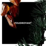 عطر ادکلن فودرویان ژیوانشی - Foudroyant Givenchy - بررسی، قیمت و خرید