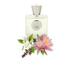 عطر ادکلن میستر کولونیا جاردینو بنسِره - Mister Colonia Giardino Benessere - بررسی، قیمت و خرید